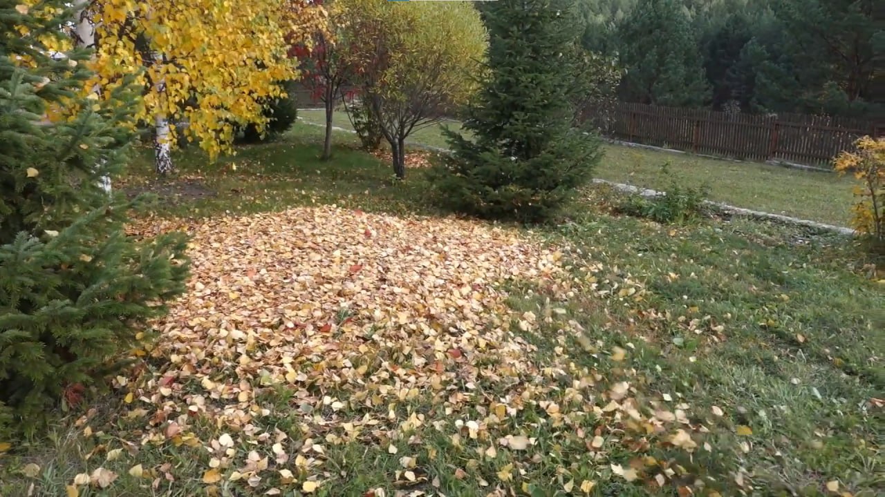 https://barnaul.mslandshaft.ru/storage/app/uploads/public/642/ac5/f22/642ac5f2293e2935715739.jpg